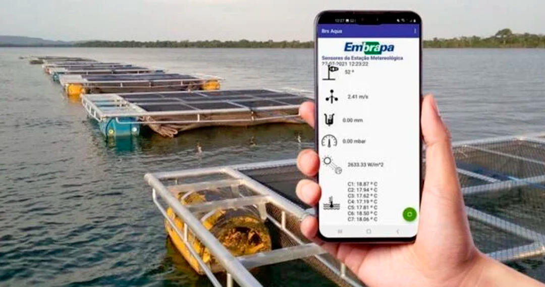 Tecnologia transmite dados da piscicultura para o celular em tempo real