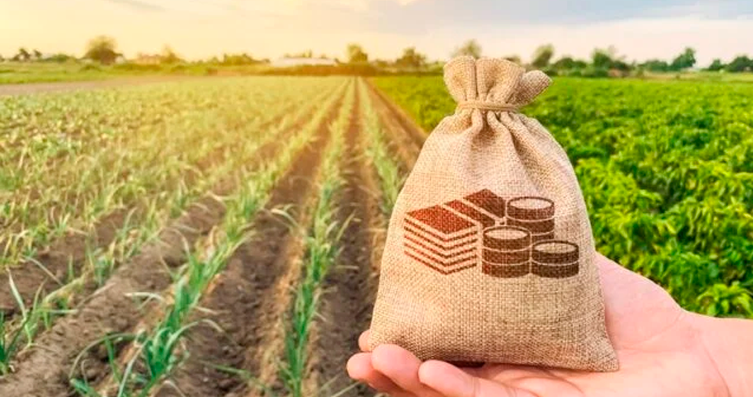 Crédito rural supera valores iniciais e fecha safra com R$ 293 bi em contratações