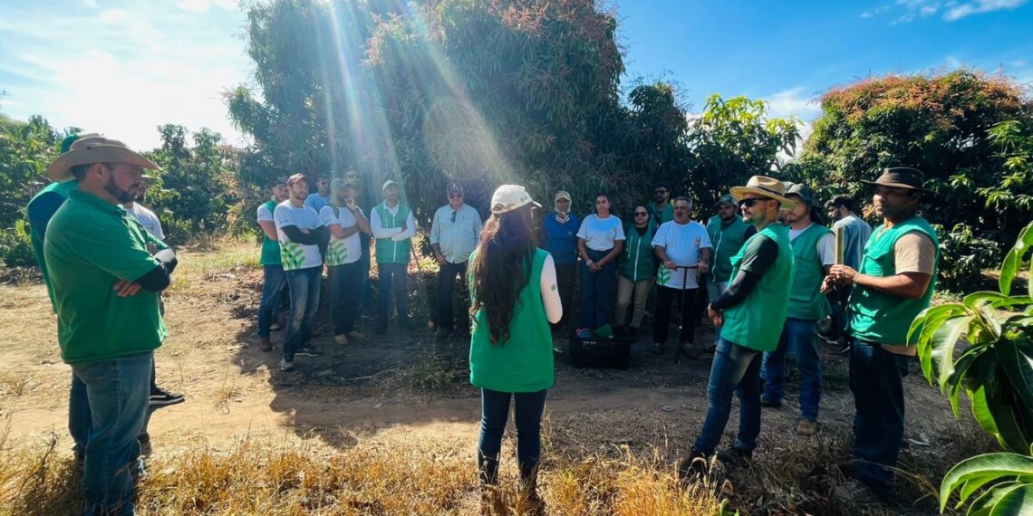 Senar Bahia divulga segunda vencedora da Premiação Fotos Instrucionais