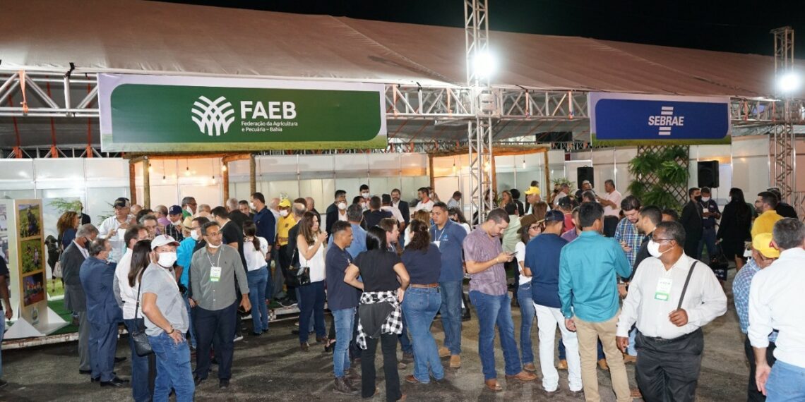 e-Agro deve movimentar R$ 50 mi e gerar centenas empregos temporários em Salvador