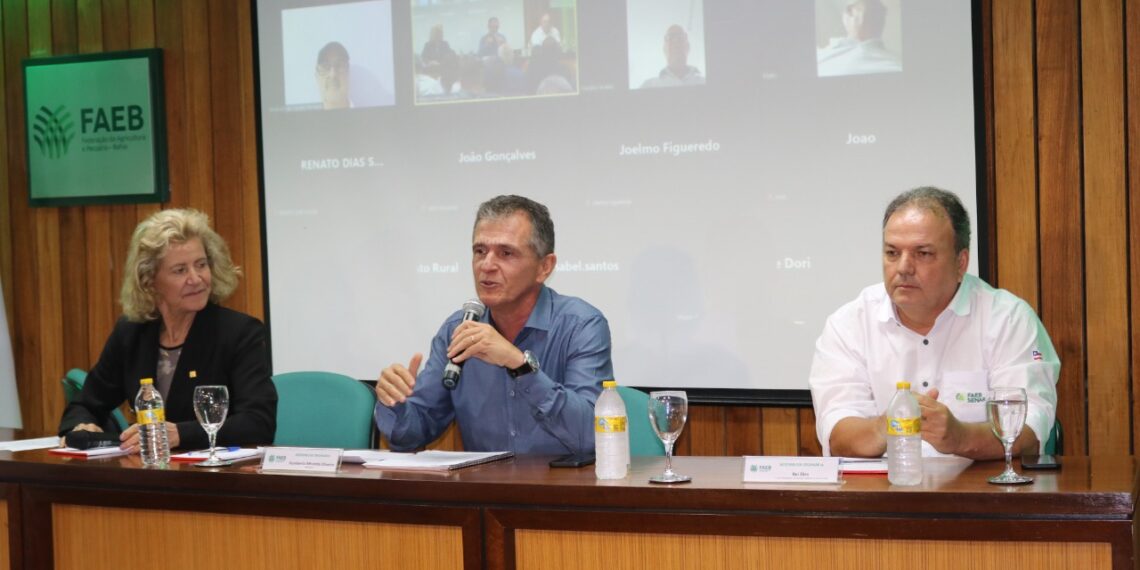 Senar debate desafios e soluções para a apicultura