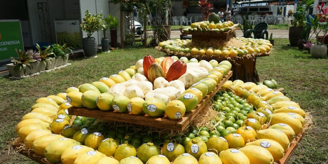 Salvador vai sediar, pela primeira vez, a e-Agro