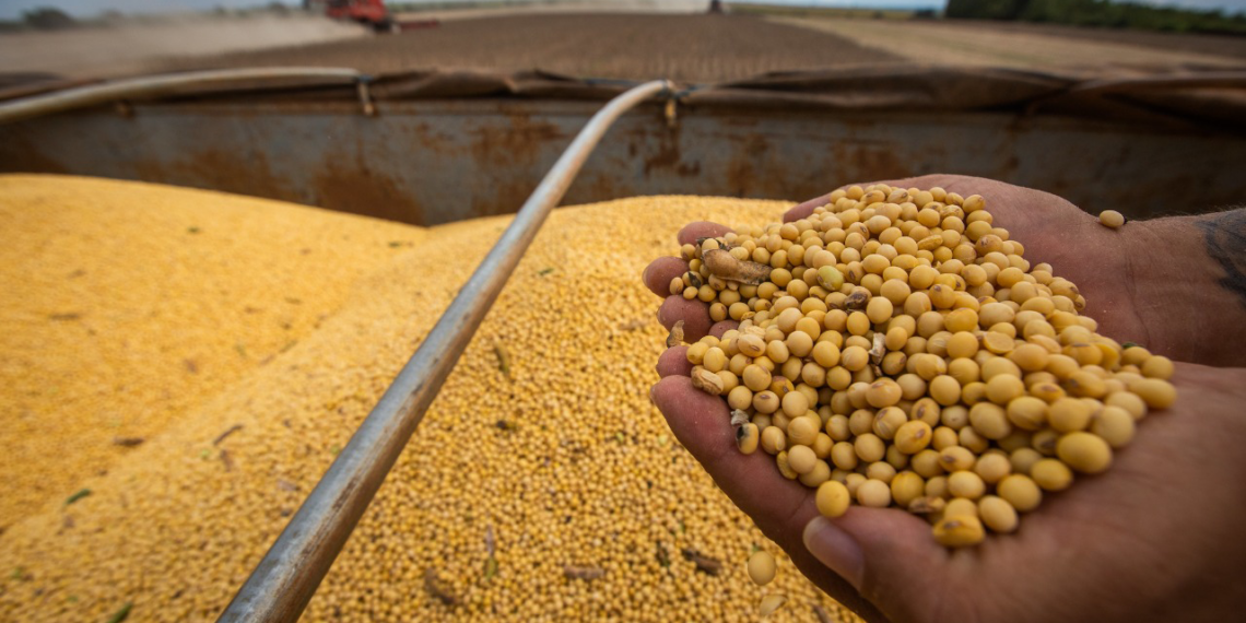 Setor agropecuário amplia sua participação no PIB baiano, diz IBGE