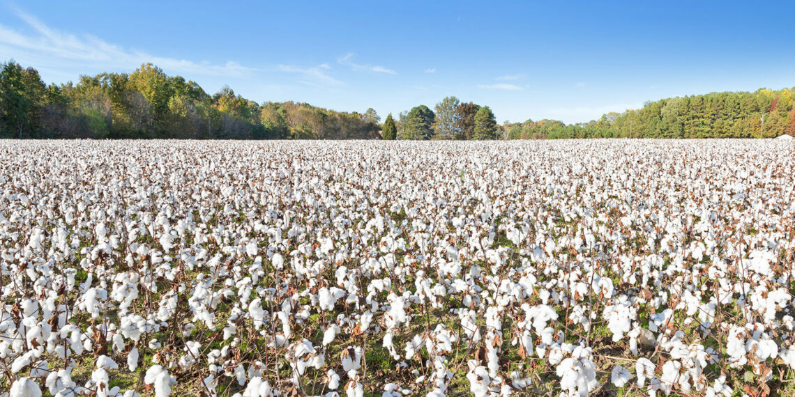 Acordo de Cooperação Técnica entre Abrapa e Banco do Brasil é assinado