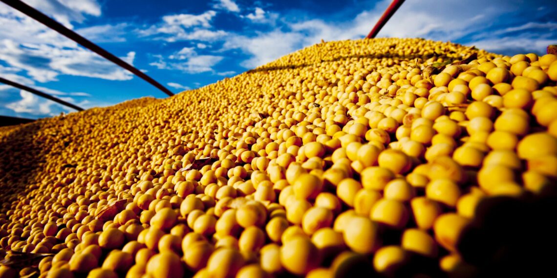 Soja: Anec prevê exportações de 14,662 milhões de toneladas em março