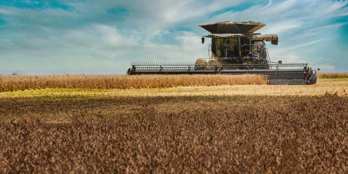 Safra de grãos na Bahia deve crescer 11,2%, segundo Conab