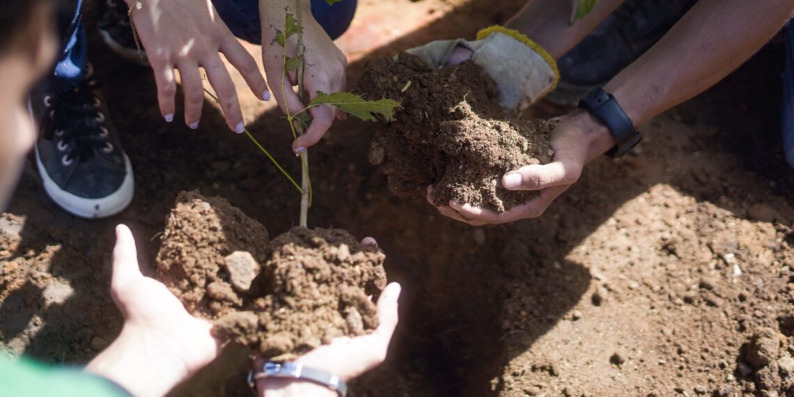 Sistema Faeb/Senar Itinerante teve função social e ambiental