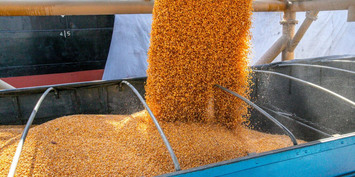 Milho exportação melhora para julho