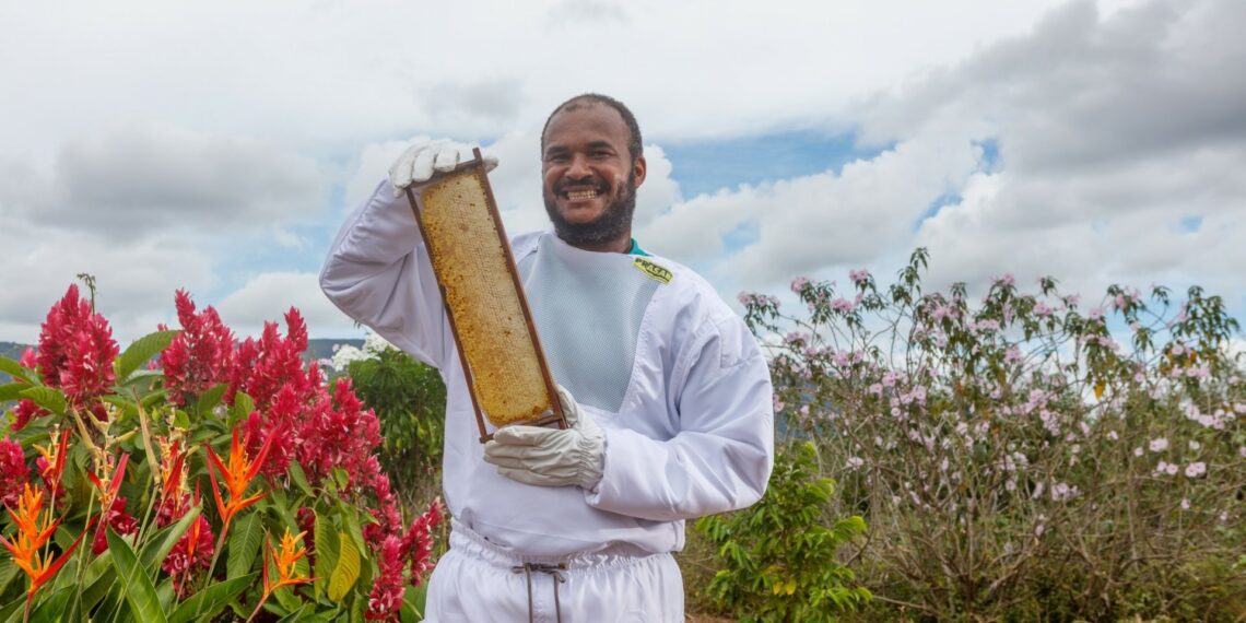 Campanha do Senar mostra caso de superação de apicultor na Bahia