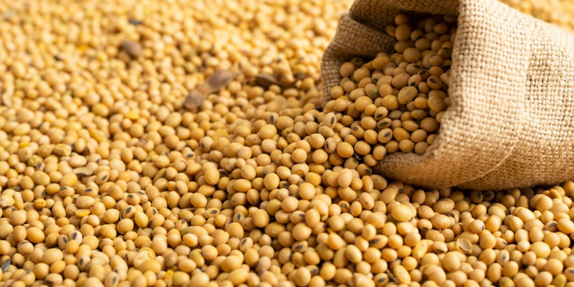 Agricultor mostra estratégias para driblar desafios e conseguir rentabilidade