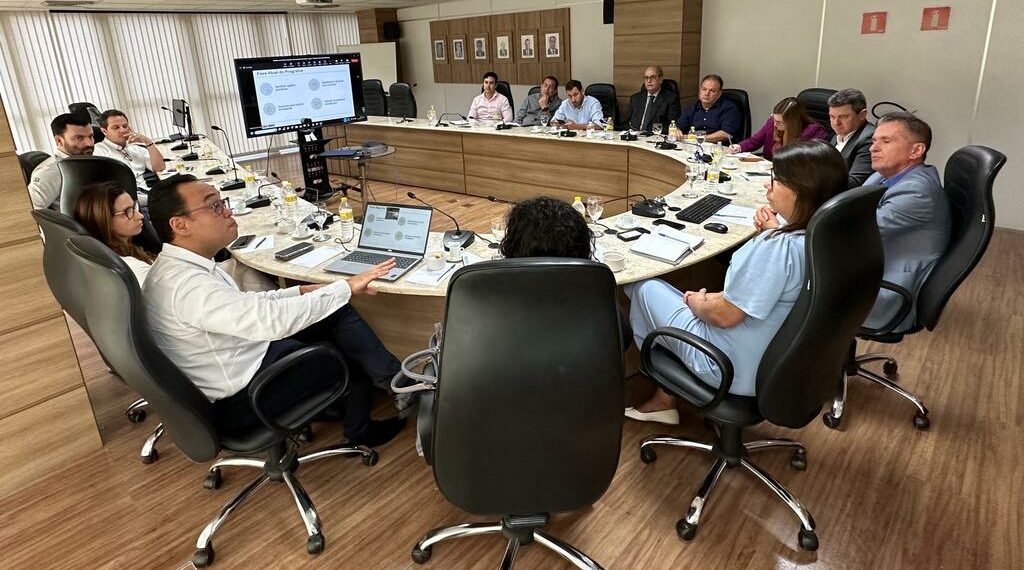 Cultivo de cacau é a aposta para recuperação de áreas degradadas