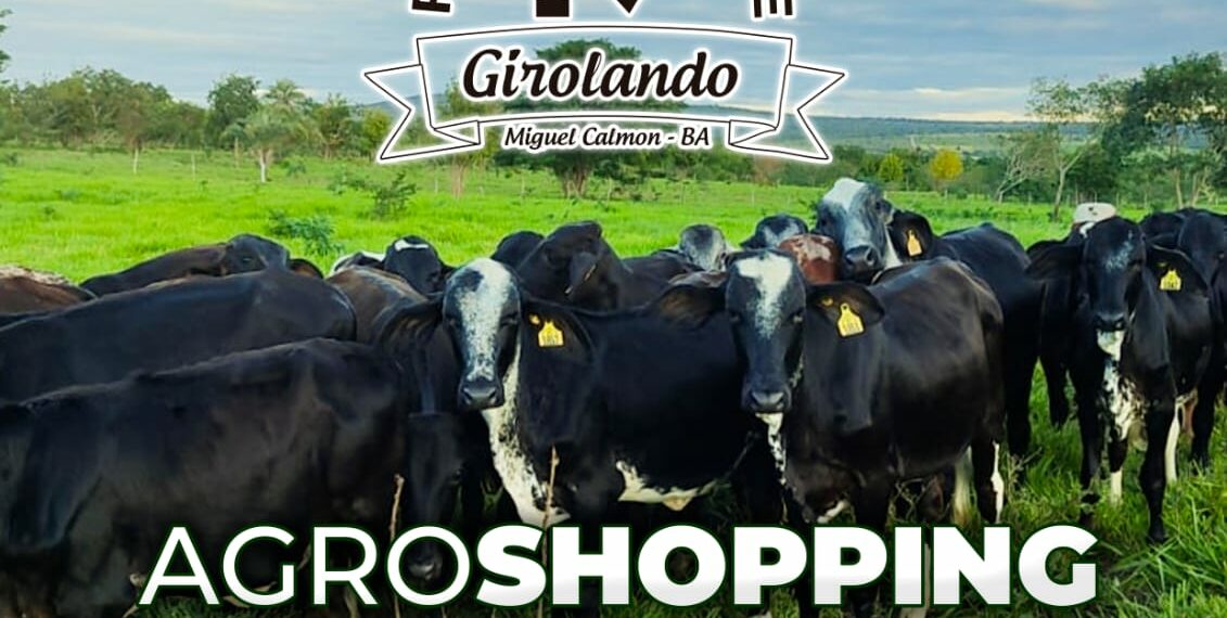 DIA DE CAMPO: FAZENDA RIO VERDE – Miguel Calmon (26 e 27/08/23)