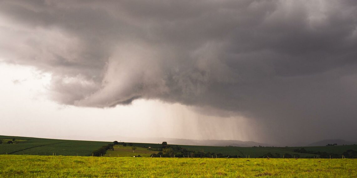 Volumes de chuva no Nordeste beneficiam lavouras de feijão e milho da Sealba