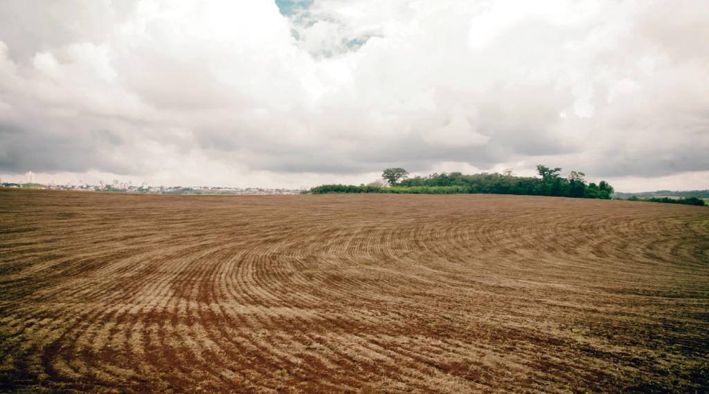 CNA ORIENTA PRODUTORES SOBRE CALENDÁRIO DE SEMEADURA E VAZIO SANITÁRIO DA SOJA