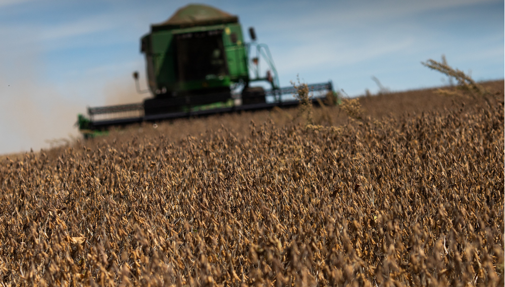 Sistema Faeb/Senar divulga relatório de previsões de Safra de grãos da Bahia