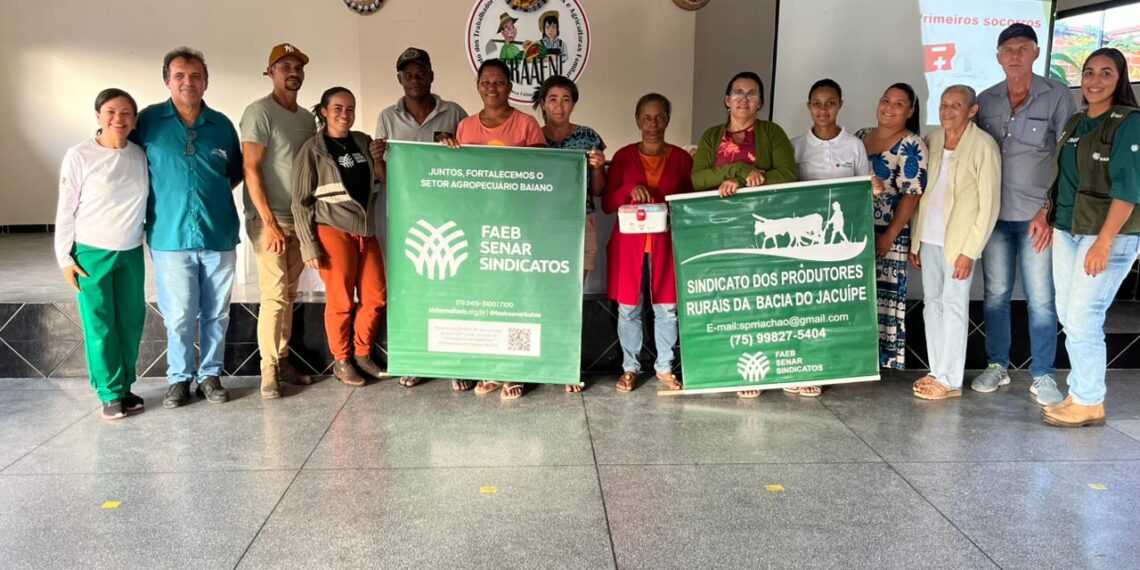 Primeiros socorros para apicultoras pautam ação do Programa Saúde no Campo, do Senar Bahia