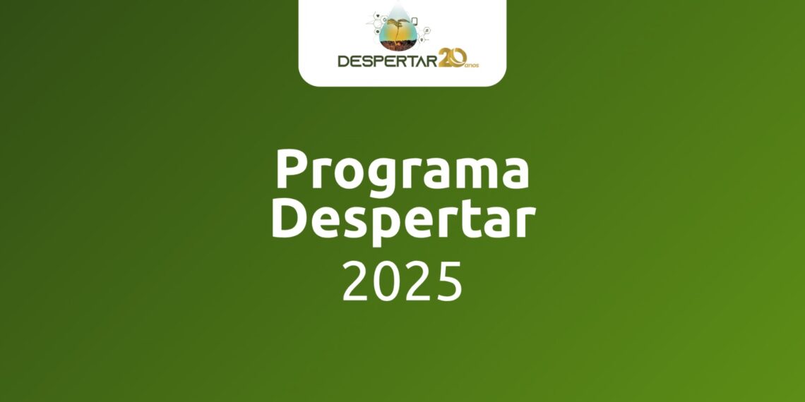 Confira o regulamento para o Programa Despertar 2025