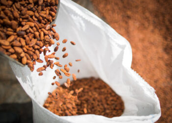 MAPA suspende importações de cacau da Costa do Marfim