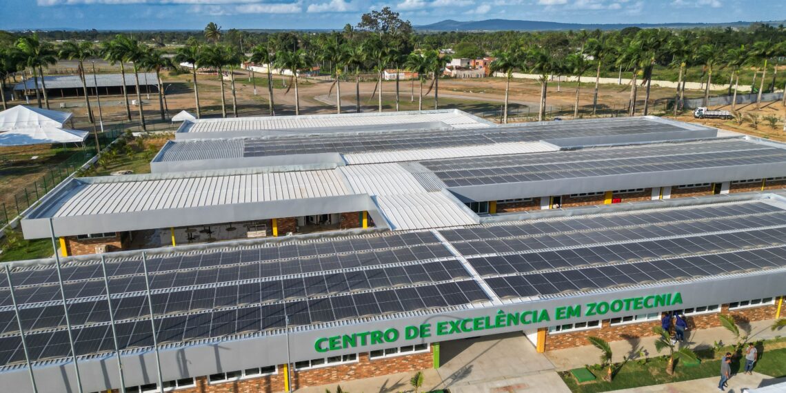 Senar Bahia lança primeiro curso técnico em Zootecnia com ênfase na produção de equinos do Brasil