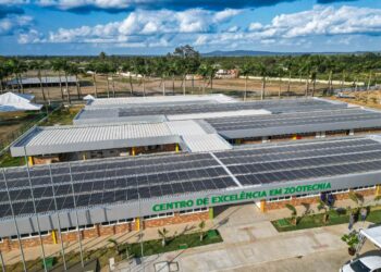 Senar Bahia lança primeiro curso técnico em Zootecnia com ênfase na produção de equinos do Brasil