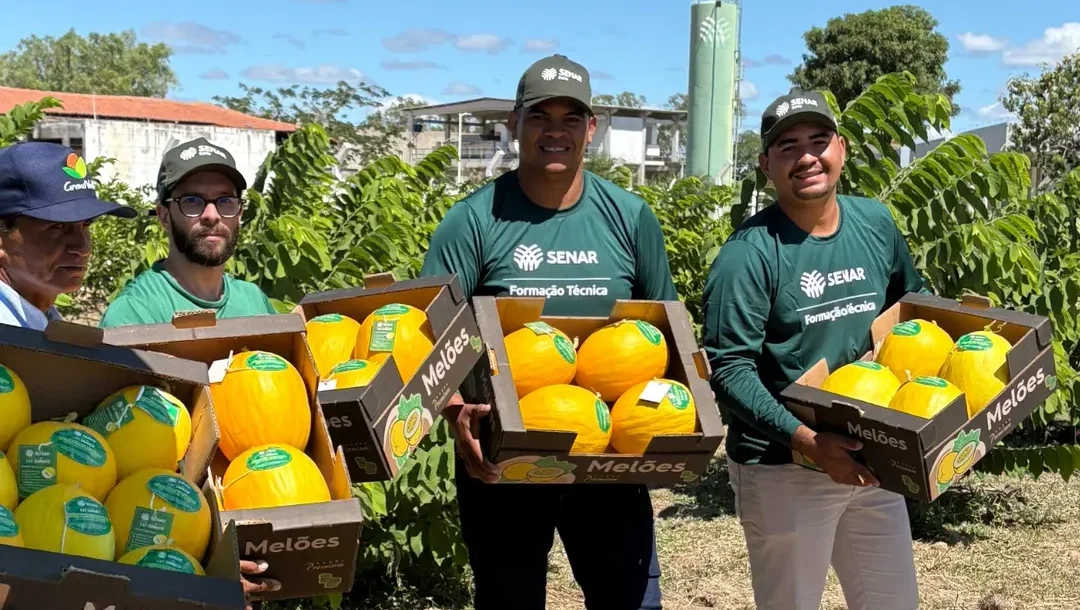 Estudantes do Centro de Excelência em Fruticultura do Senar em Juazeiro/BA colhem 750 kg de melão premium com padrão de exportação