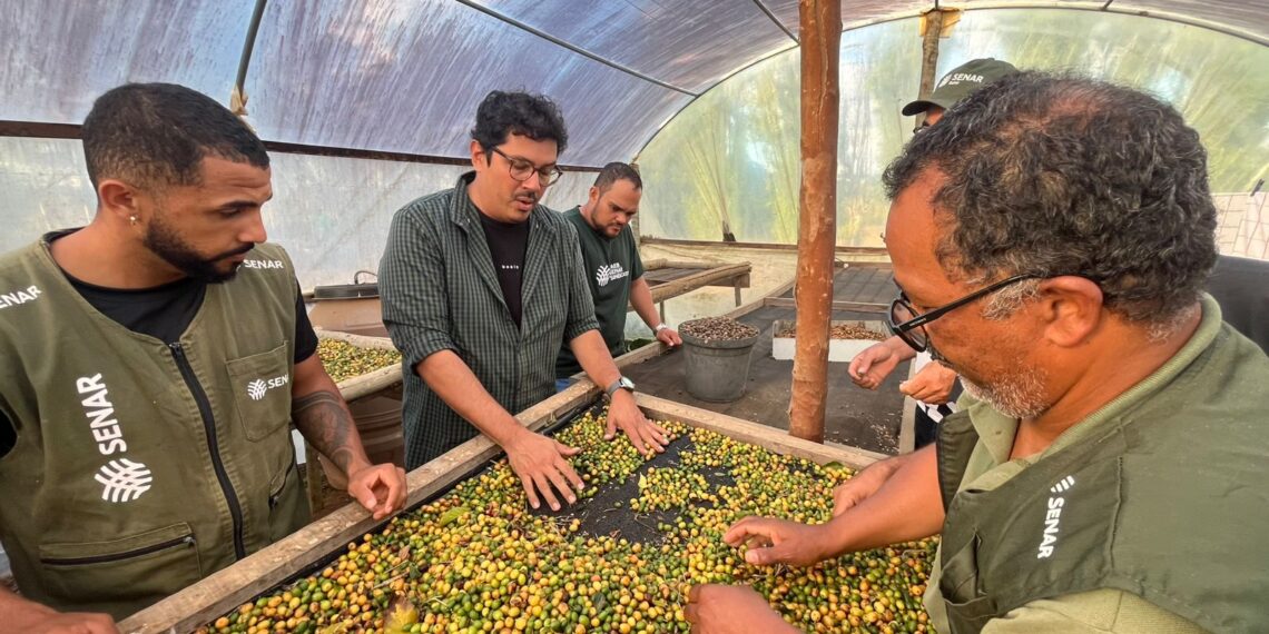Consultoria Master fortalece atuação da ATeG do Senar na produção de cafés de qualidade