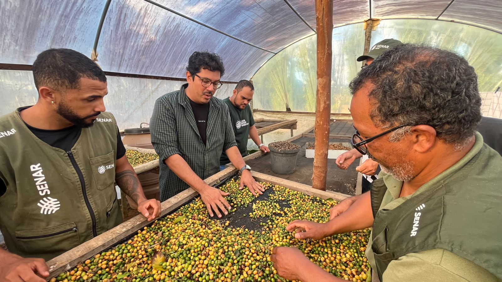 Consultoria Master fortalece atuação da ATeG do Senar na produção de cafés de qualidade