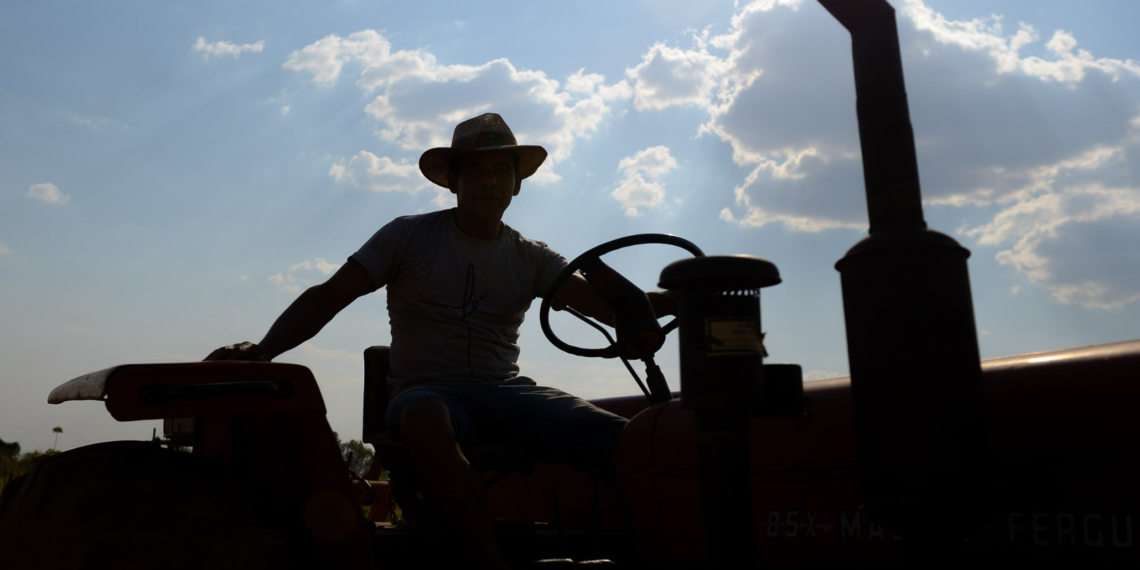 Taxações dos EUA devem atingir apenas 1,8% do agro baiano, com impactos regionalizados