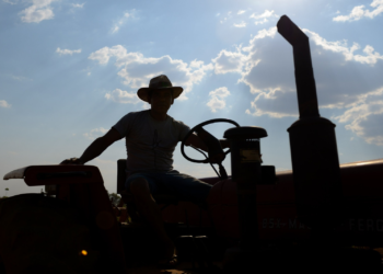 Taxações dos EUA devem atingir apenas 1,8% do agro baiano, com impactos regionalizados